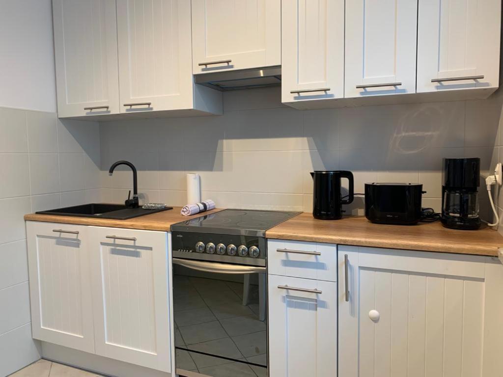 Apartament Zieleniec Stary Toruń Zewnętrze zdjęcie