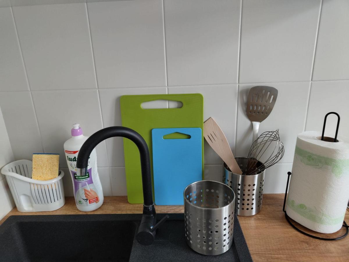 Apartament Zieleniec Stary Toruń Zewnętrze zdjęcie
